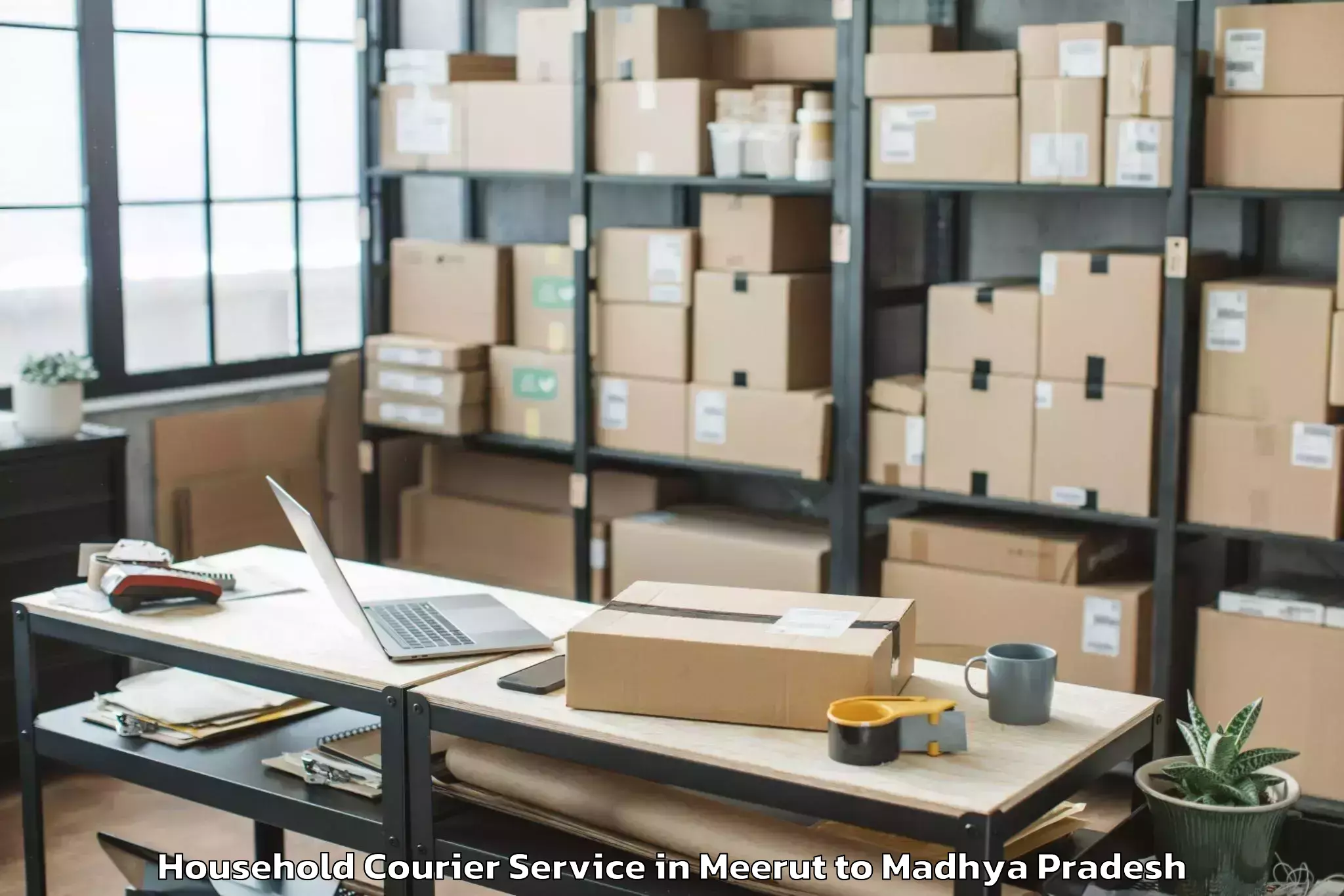 Meerut to Barwaha Household Courier Booking